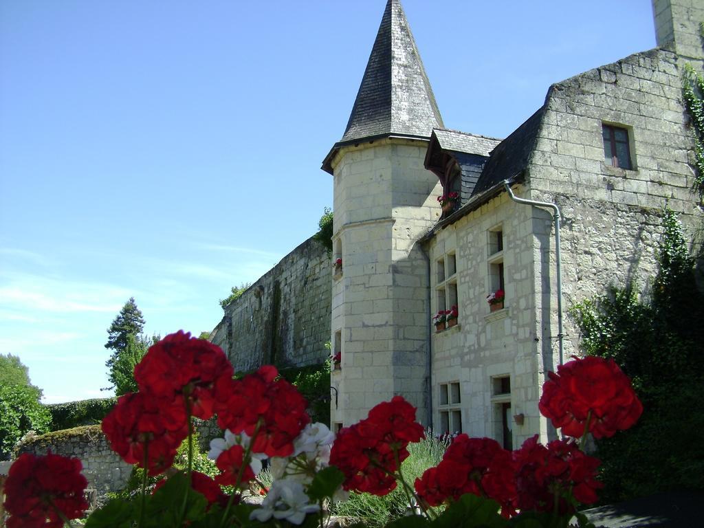 Le Petit Hureau Bed and Breakfast Saumur Exterior foto