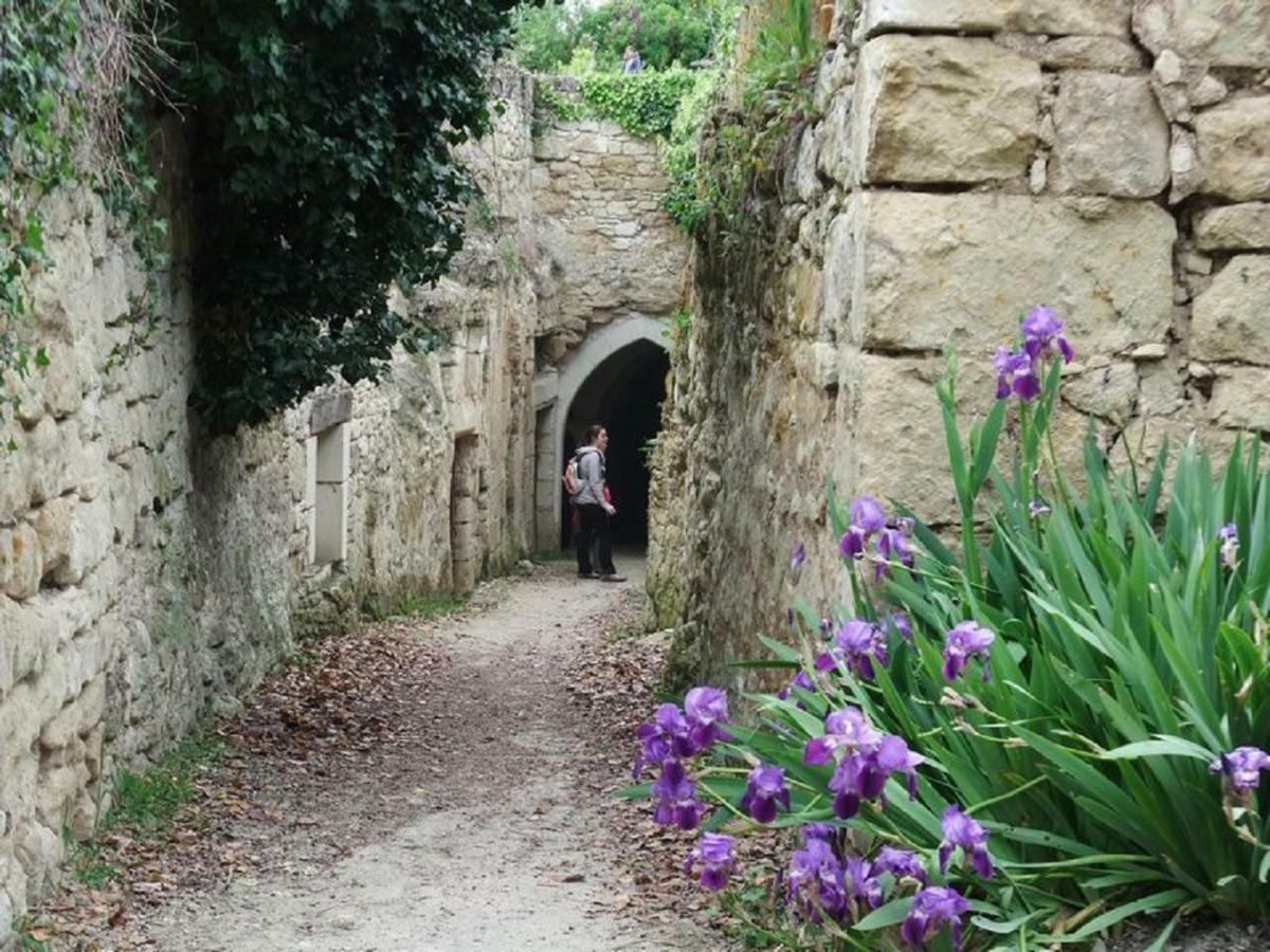 Le Petit Hureau Bed and Breakfast Saumur Exterior foto